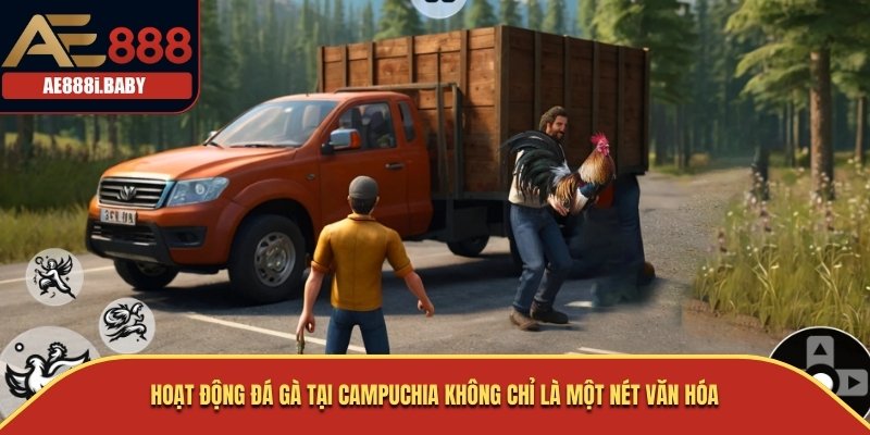 Đá Gà Campuchia - Nghệ Thuật Văn Hóa Cùng Nhà Cái AE888 3 Hoạt động đá gà tại Campuchia không chỉ là một nét văn hóa