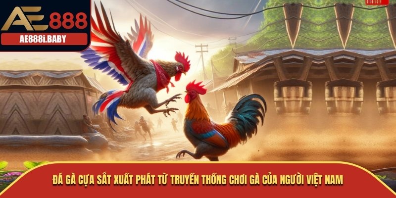 Đá Gà Cựa Sắt Tại AE888: Trải Nghiệm Độc Đáo Và Hấp Dẫn 2025 2 Đá gà cựa sắt xuất phát từ truyền thống chơi gà của người Việt Nam