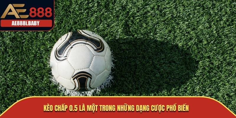 Kèo Chấp 0.5: Hiểu Rõ và Nắm Bắt Cơ Hội Cá Cược Bóng Đá AE888 3 Kèo Chấp 0.5 là một trong những dạng cược phổ biến