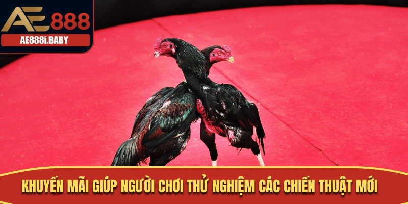 Khuyến Mãi Đá Gà Hot Nhất Không Thể Bỏ Qua Tại AE888 3 Khuyến mãi giúp người chơi thử nghiệm các chiến thuật mới