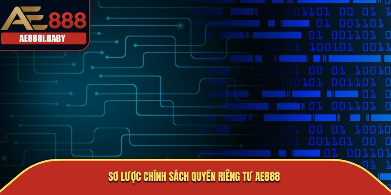 Thông Tin Quyền Riêng Tư AE888 Mới Được Cập Nhật Trong Năm 2024 1 Sơ lược chính sách quyền riêng tư AE888