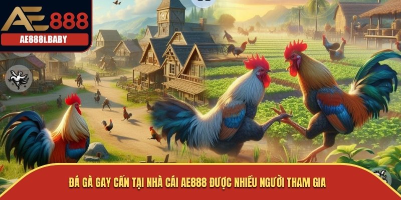 AE888 | AE888i.BABY - NHÀ CÁI ĐÁ GÀ THOMO SỐ 1 VIỆT NAM 40 Đá gà gay cấn tại nhà cái AE888 được nhiều người tham gia